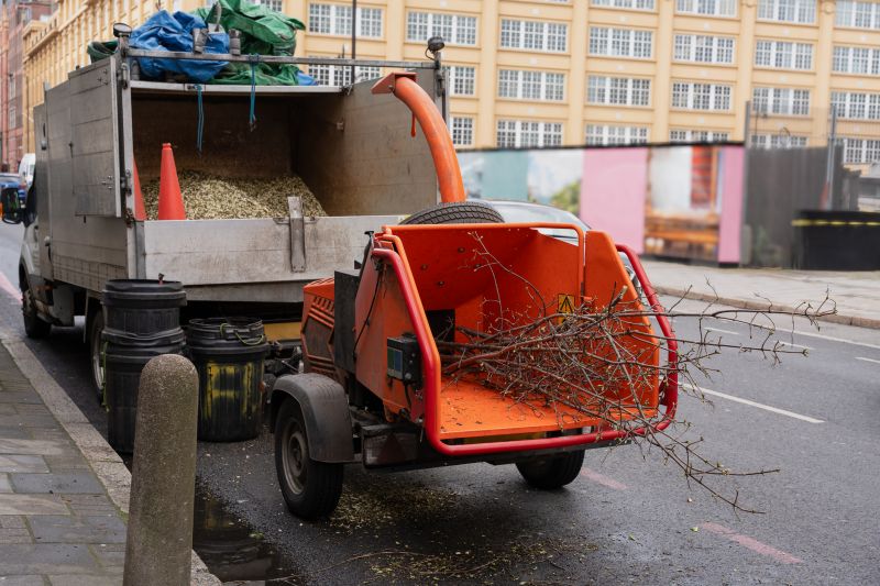 Tree Removal Equipment